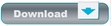Download button