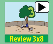 Engaging animation of the 3x8 picture and story insures memory retention.