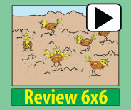 Engaging animation of the 6x6 picture and story insures memory retention.