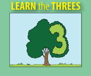 Resources for teaching the Threes. (Videos, lessons, activities, quizzes, flashcards, and more)