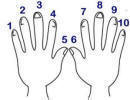 Hands outstretched with numbers above each finger illustration